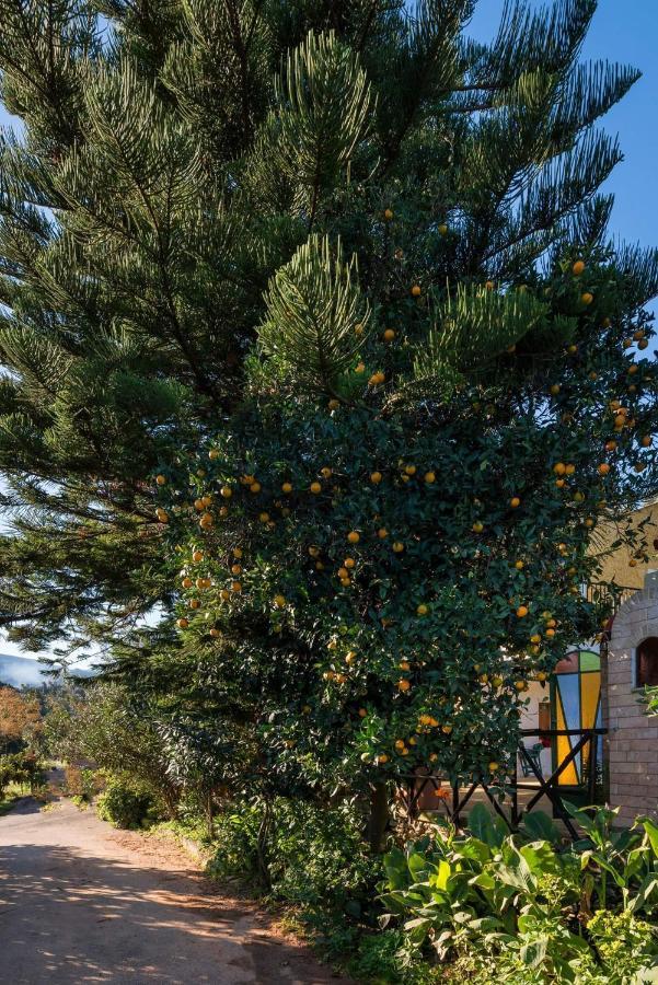 Casa Arokaria Daire Pendarianá Dış mekan fotoğraf